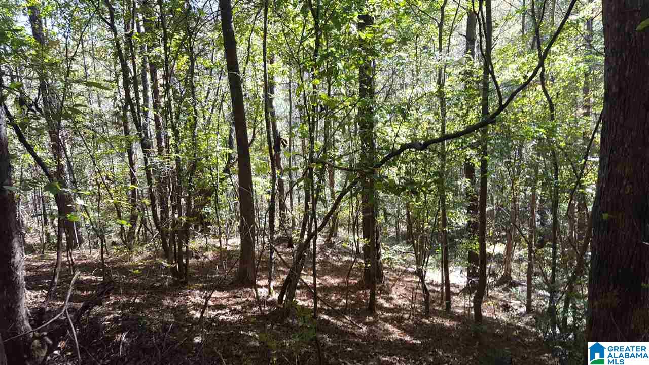 2 Lucas Drive, Unit 1 Hayden, AL 35079 - Photo 2 of 11