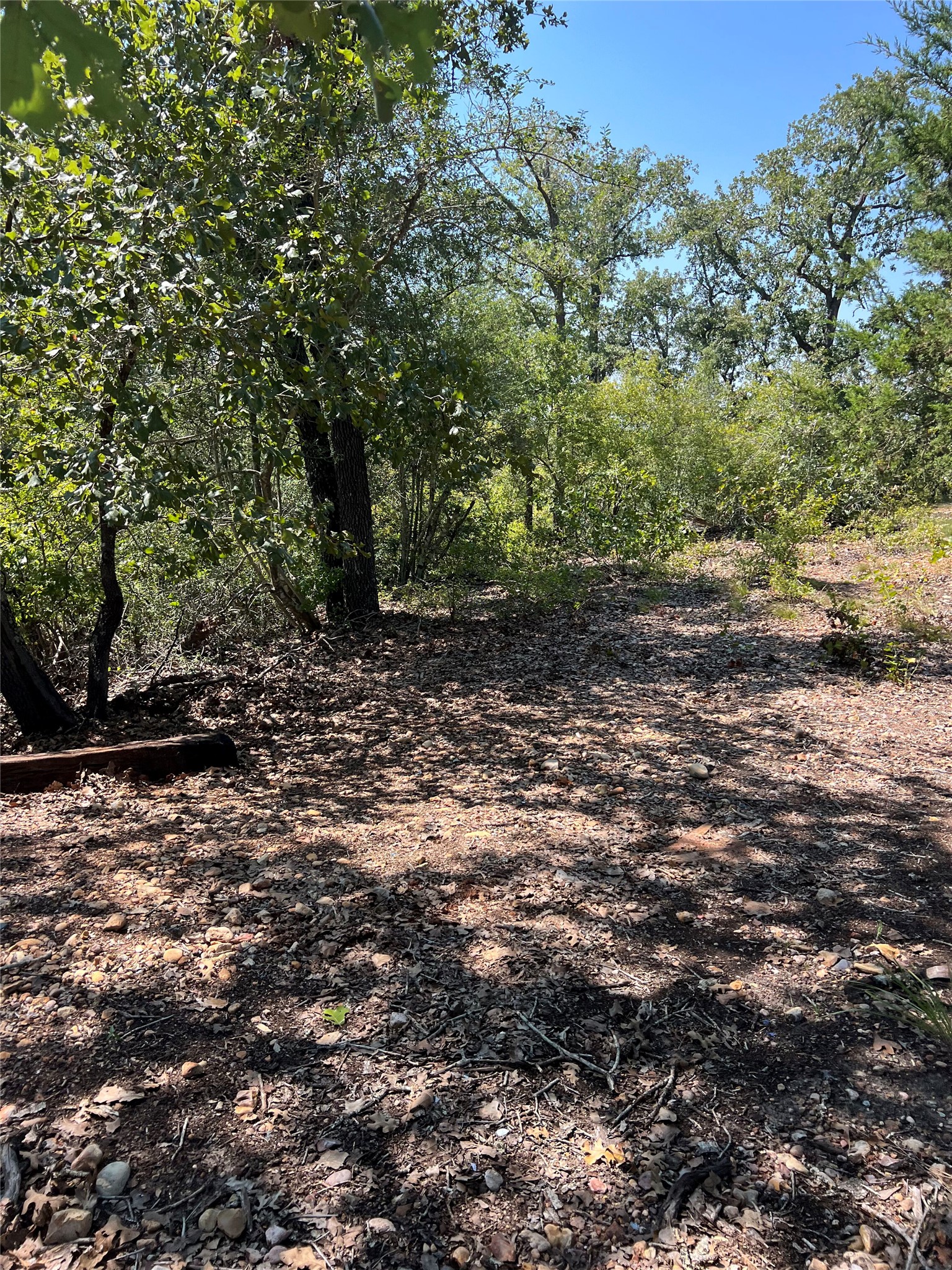 Tbd Tbd Lakeshore Road Paige, TX 78659 - Photo 1 of 10 a view of a forest with trees in the background