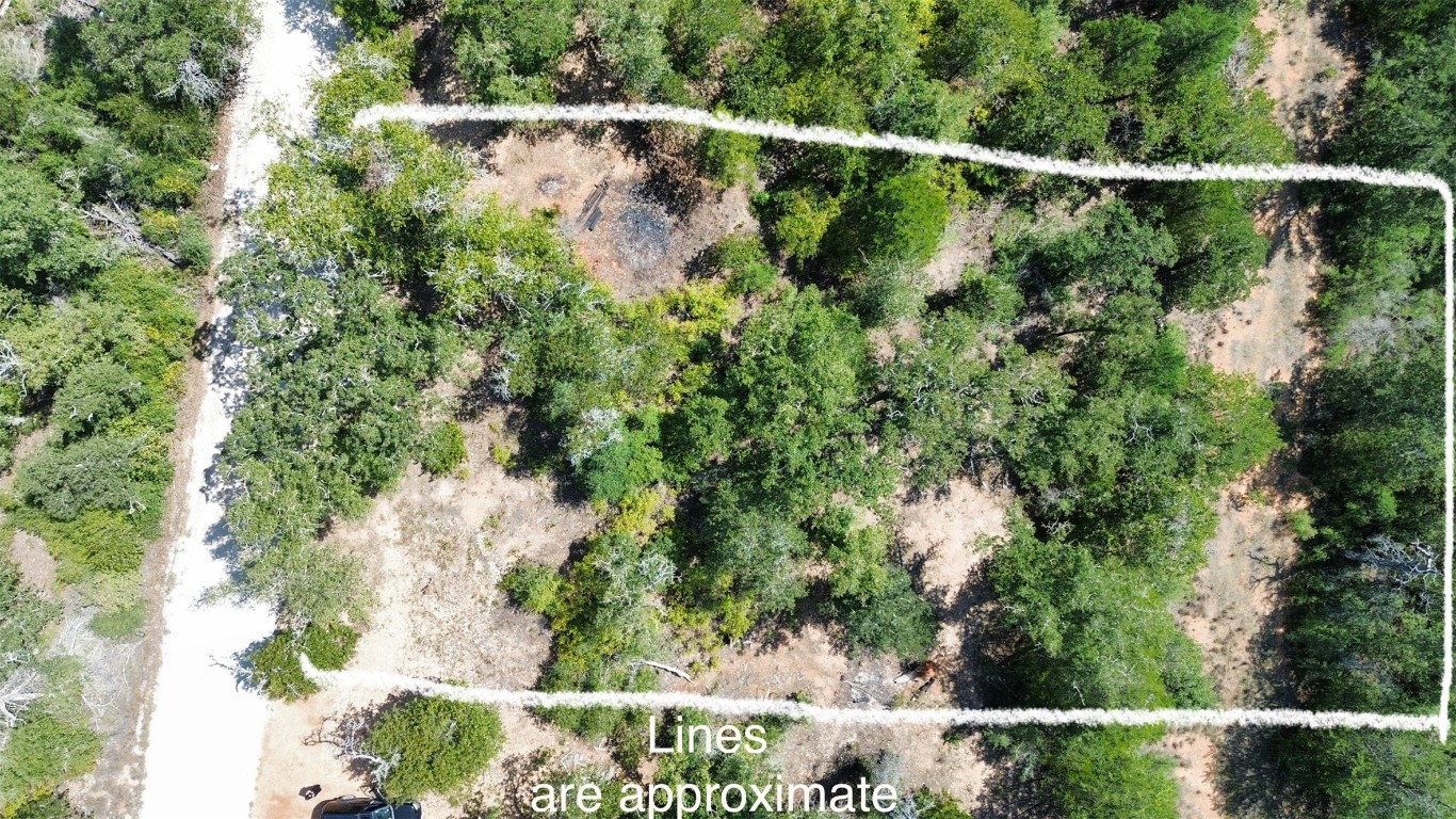 Tbd Tbd Lakeshore Road Paige, TX 78659 - Photo 2 of 10