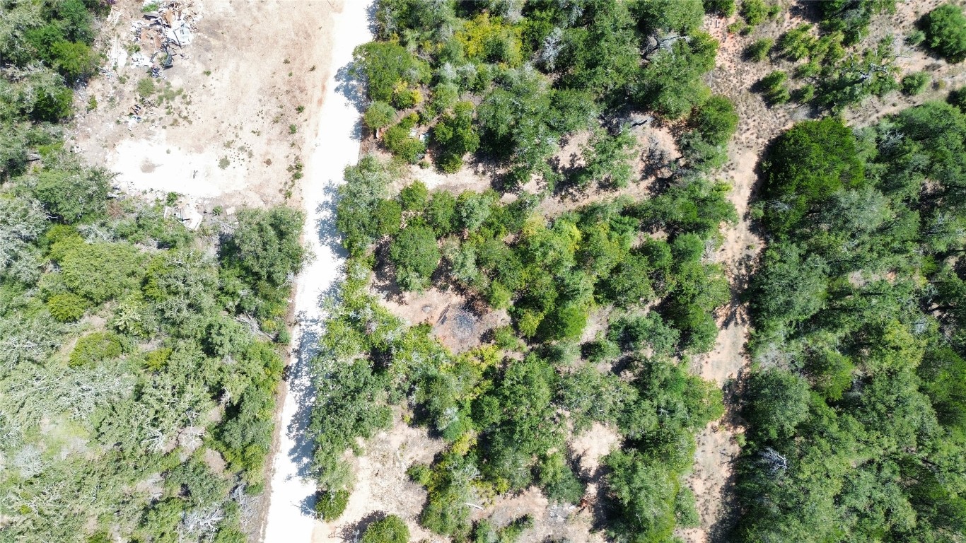Tbd Tbd Lakeshore Road Paige, TX 78659 - Photo 3 of 10 a view of a forest with a tree