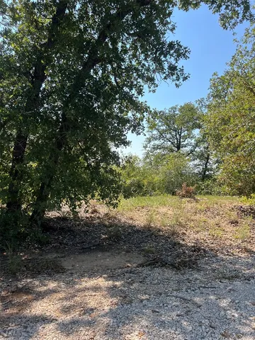 a view of a field with trees in the background