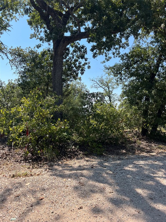 Tbd Tbd Lakeshore Road Paige, TX 78659 - Photo 7 of 10 a view of a yard with a tree