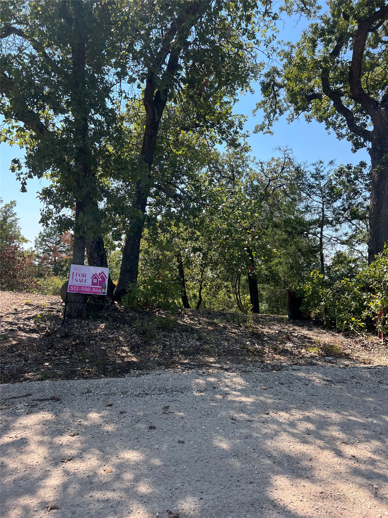 Tbd Tbd Lakeshore Road Paige, TX 78659 - Photo 8 of 10 a backyard of a house with lots of green space