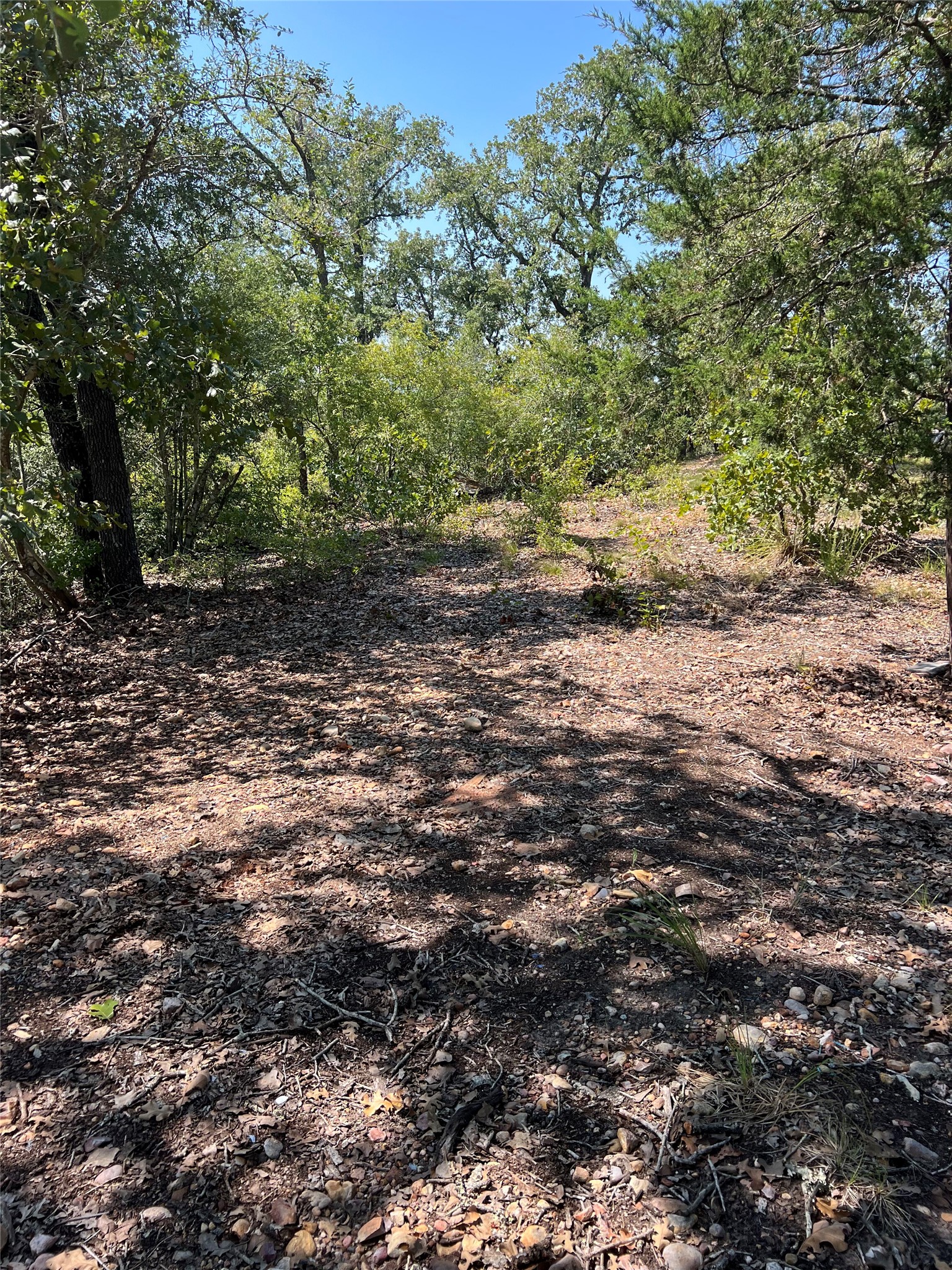 Tbd Tbd Lakeshore Road Paige, TX 78659 - Photo 9 of 10 a view of a dry yard with trees