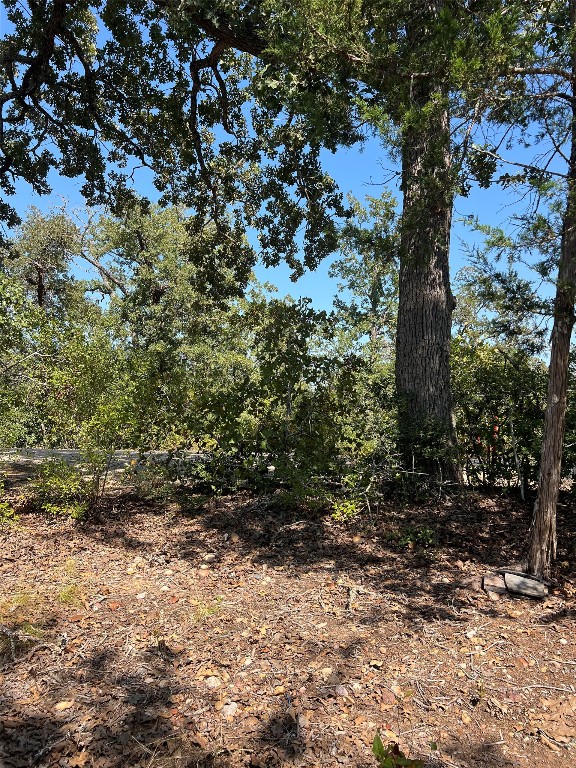 Tbd Tbd Lakeshore Road Paige, TX 78659 - Photo 10 of 10 a view of a forest