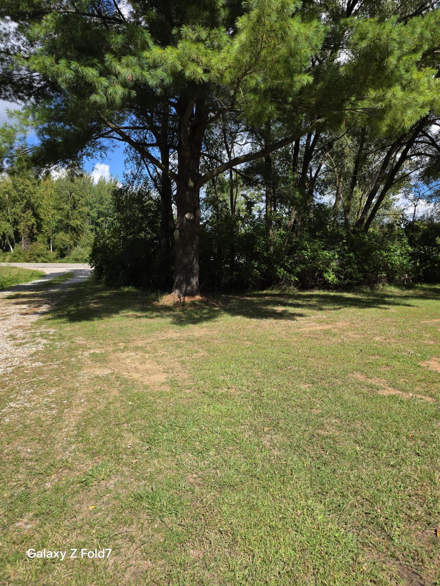 4539 West Saginaw Road Vassar, MI 48768 - Photo 7 of 25 20250907_134643
