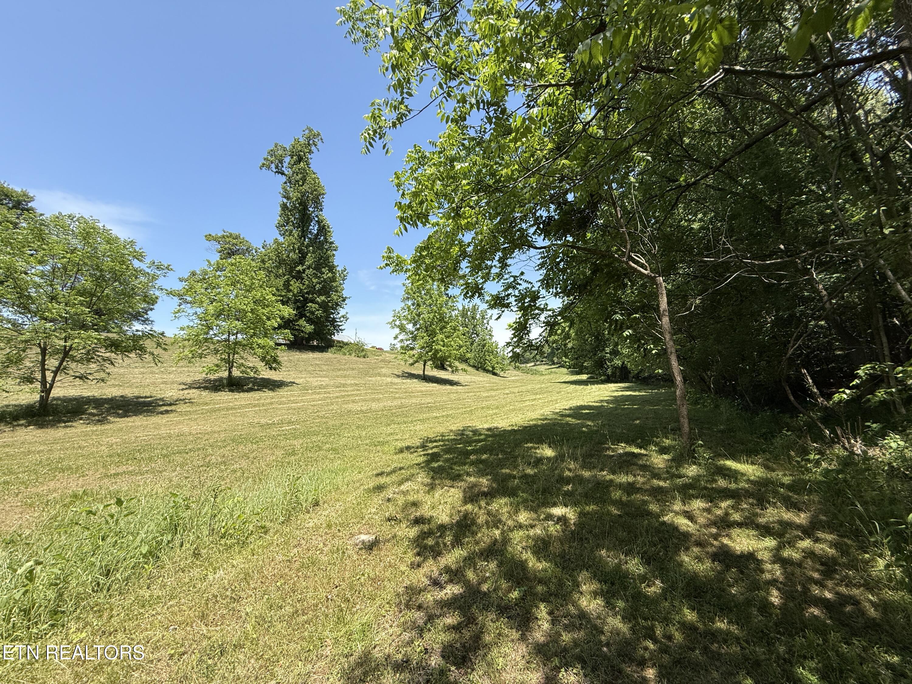 Richland Road Blaine, TN 37709 - Photo 23 of 25 IMG_5468