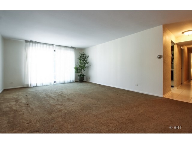 8600 Waukegan Road, Unit 301 Morton Grove, IL 60053 - Photo 2 of 10