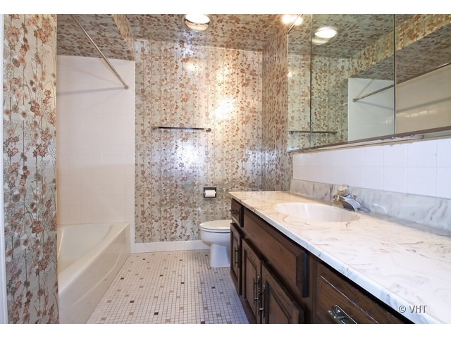 8600 Waukegan Road, Unit 301 Morton Grove, IL 60053 - Photo 6 of 10