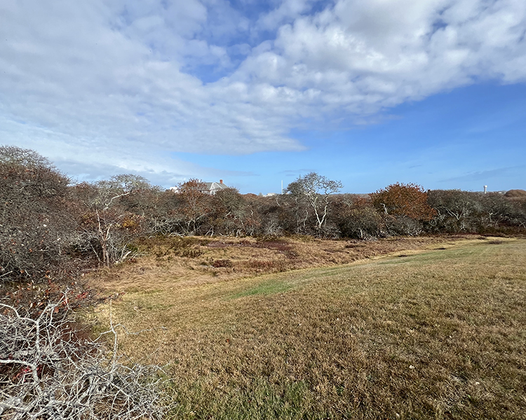 37 Chuck Hollow Road Nantucket, MA 02554 - Photo 1 of 3 Gallery Image 1