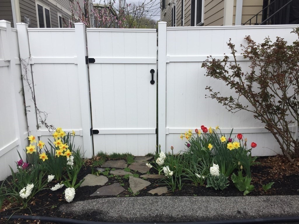 43 Coffey Street, Unit 2 Boston, MA 02122 - Photo 25 of 29