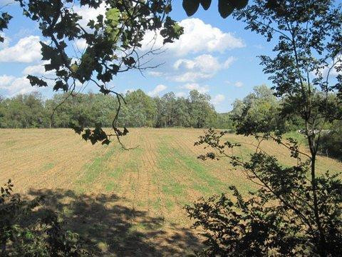 2640 Fords Mill Road Dry Ridge, KY 41035 - Photo 18 of 30