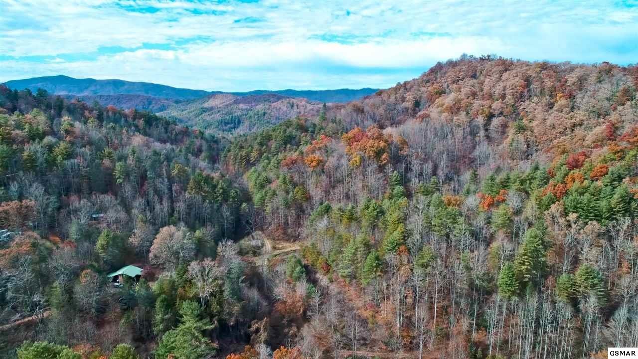 2737 Laurel Forks Road Del Rio, TN 37727 - Photo 1 of 25 Gallery Image 1