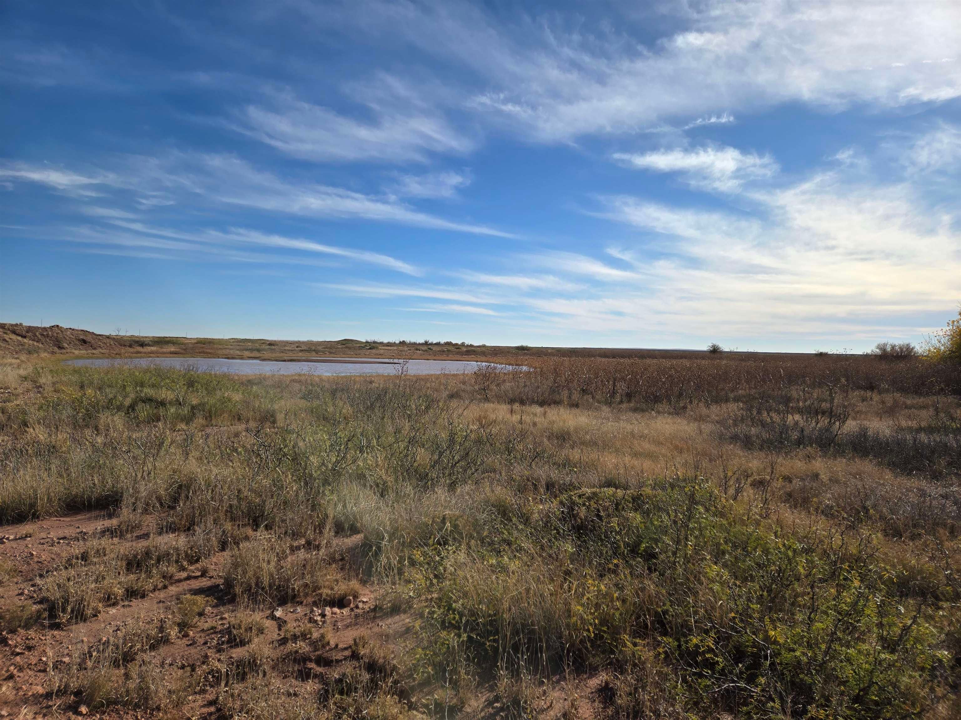5344 Red Lake Road Taiban, NM 88134 - Photo 76 of 89 Gallery Image 76