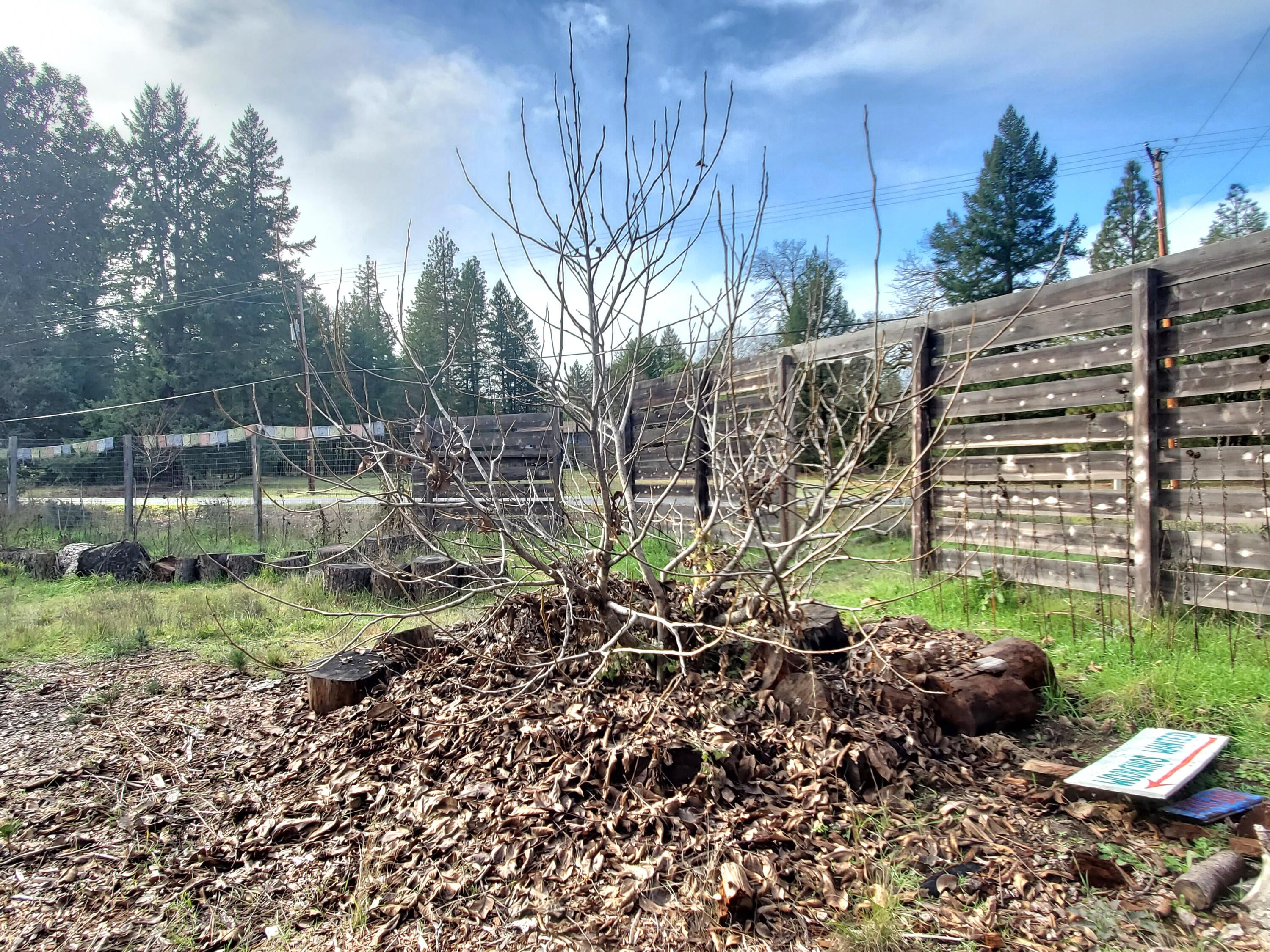 395 East Fork Road Williams, OR 97544 - Photo 57 of 59 20231204_122038