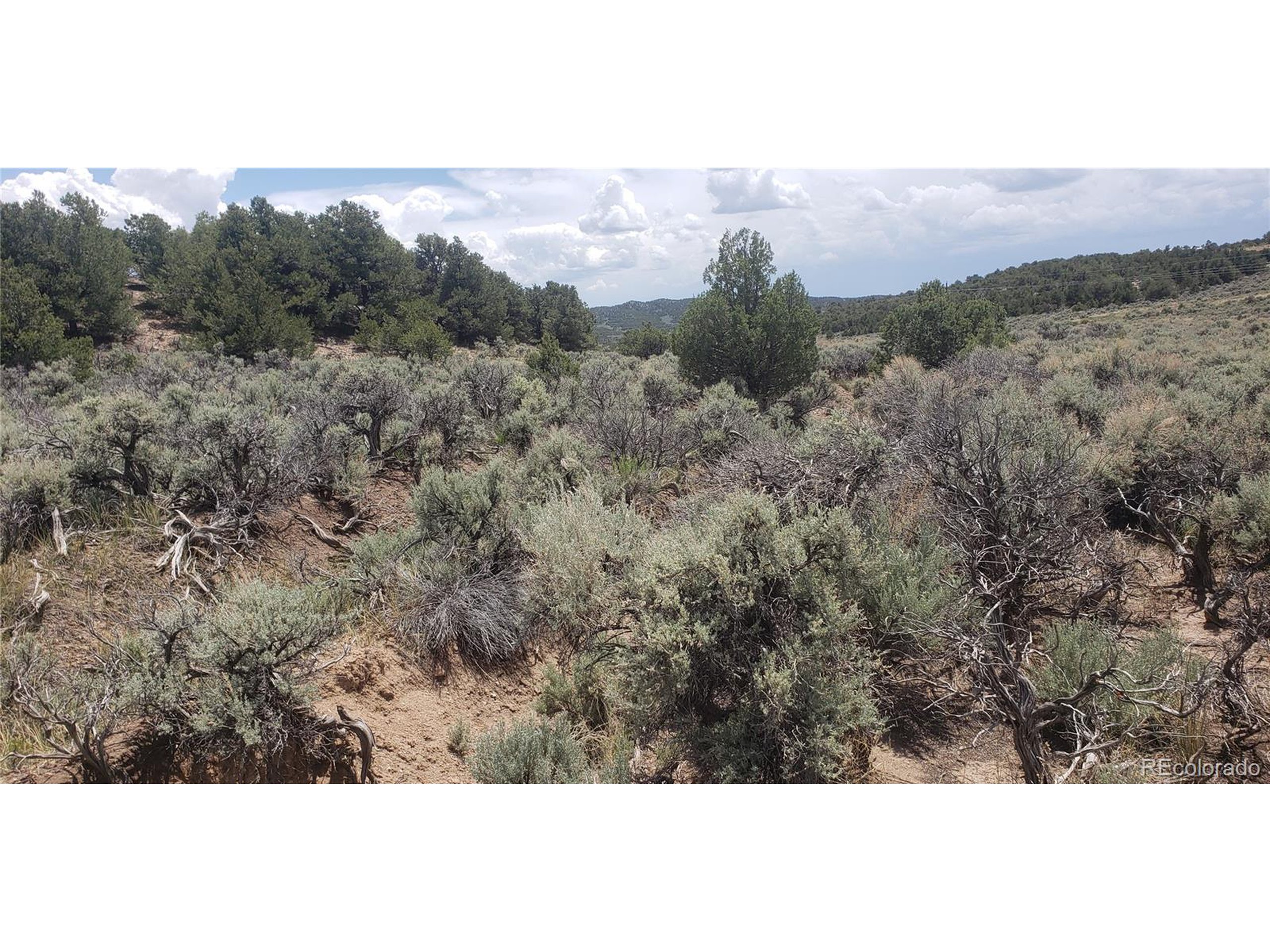 1505 Juarez & Dunn Road San Luis, CO 81152 - Photo 4 of 18 a view of a city with lush green forest