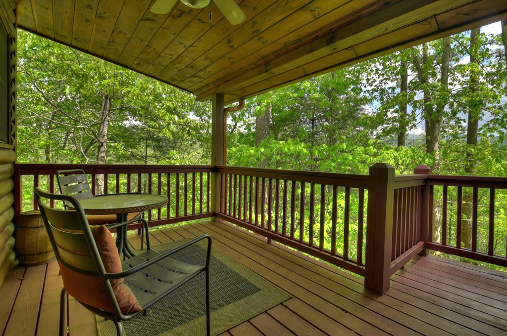 278 Mountain View Circle Blue Ridge, GA 30513 - Photo 34 of 42