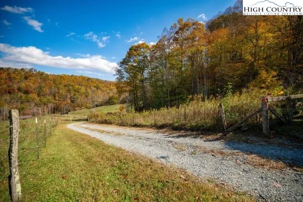 a view of a yard with wooden fence
