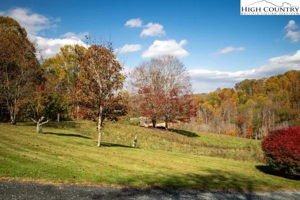 a view of yard with swimming pool and trees