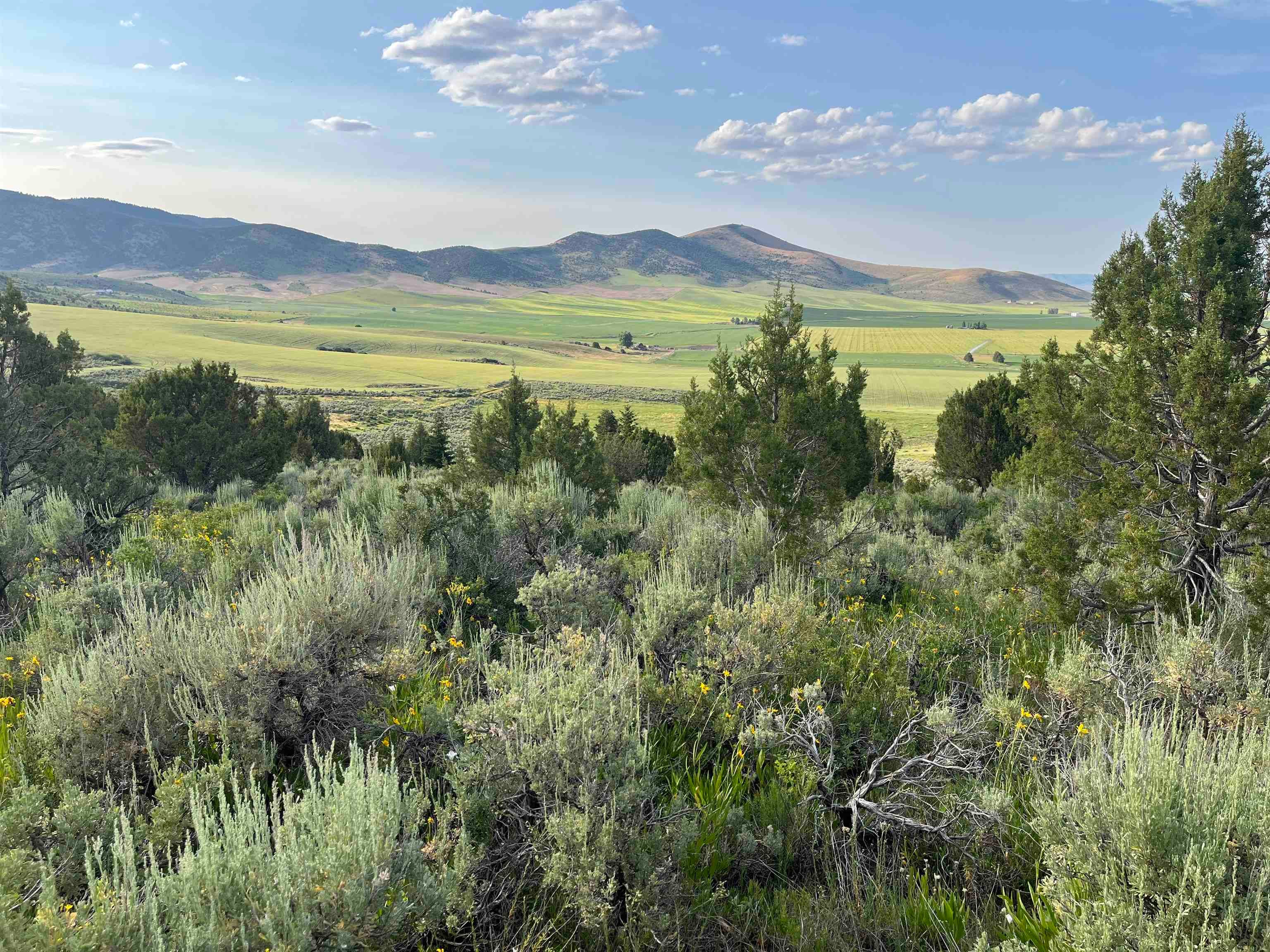 955-943 Hegstrom Road Grace, ID 83241 - Photo 36 of 45 Gallery Image 36