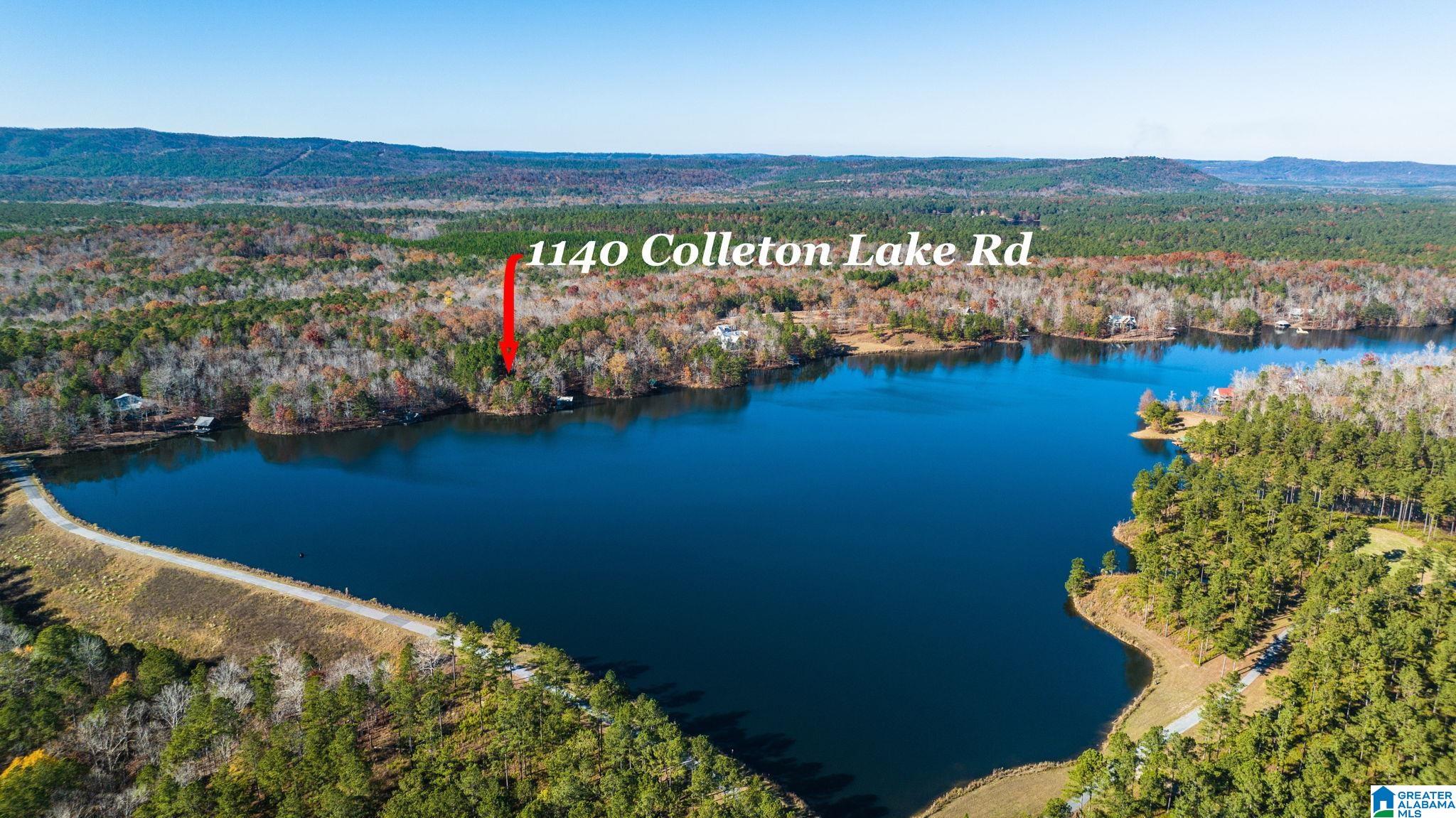 1140 Colleton Lake Road Vincent, AL 35178 - Photo 6 of 11 Gallery Image 6