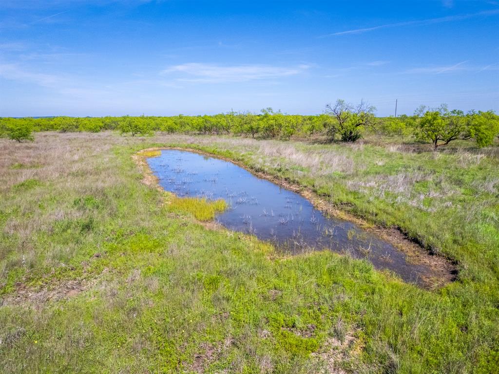 482 NORTH Novice Tx 79538  