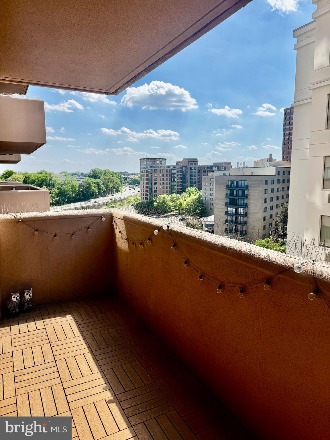 1301 North Courthouse Road, Unit 805 Arlington, VA 22201 - Photo 12 of 17