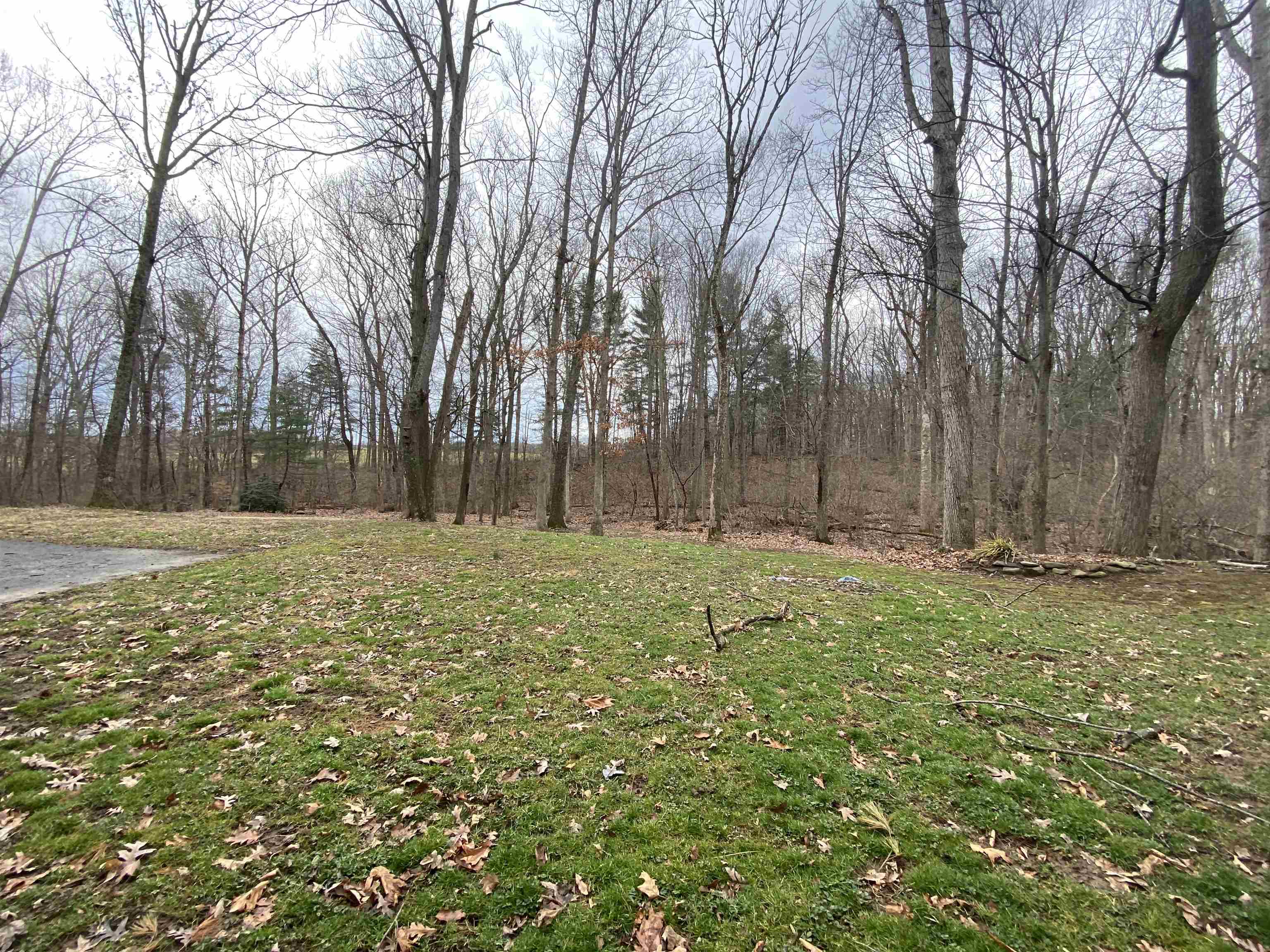 244 Chapel Road Churchville, VA 24421 - Photo 13 of 32 a view of outdoor space with deck and tree