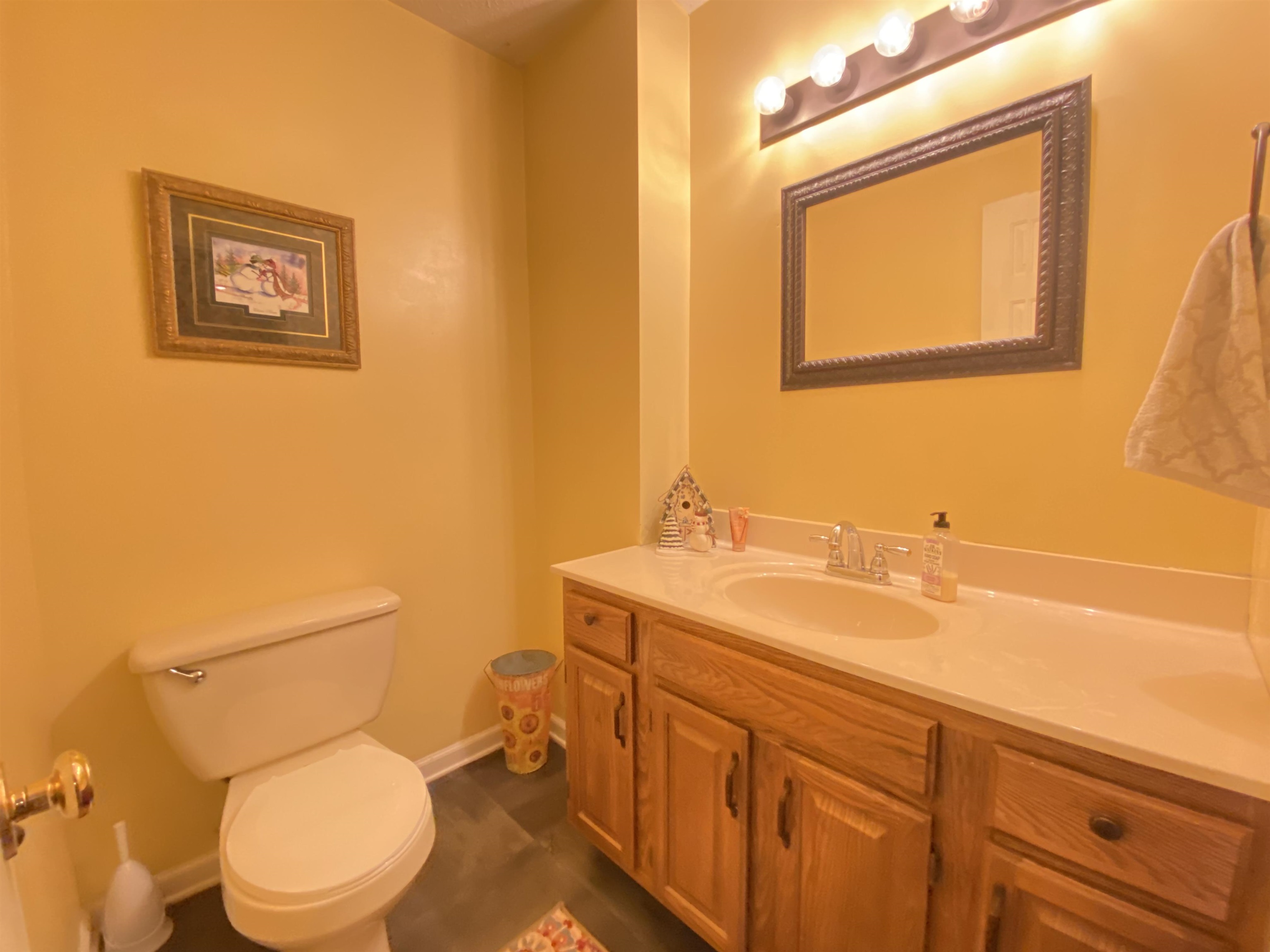 244 Chapel Road Churchville, VA 24421 - Photo 22 of 32 a bathroom with a toilet a sink and mirror