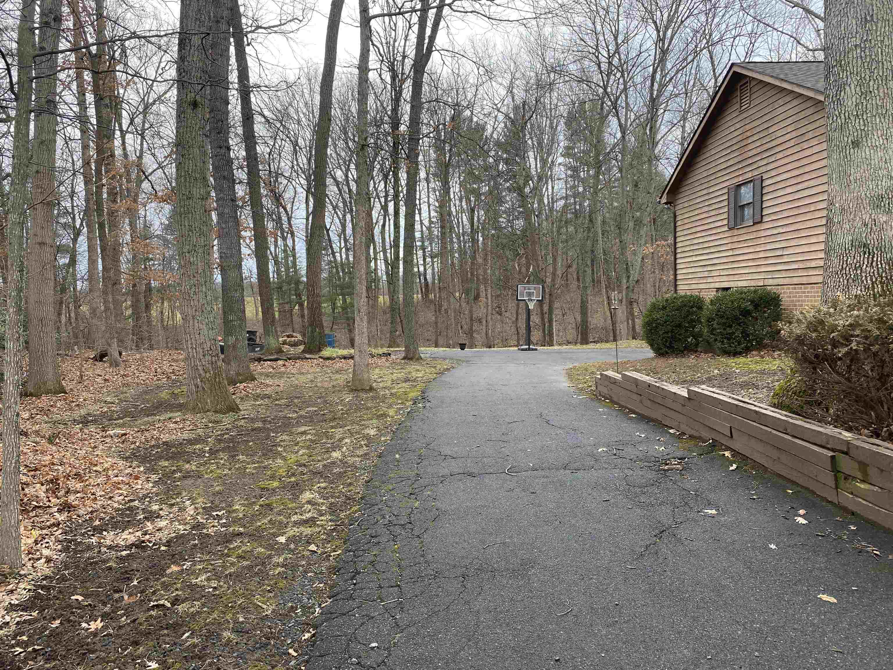244 Chapel Road Churchville, VA 24421 - Photo 6 of 32 a row of trees with side of house