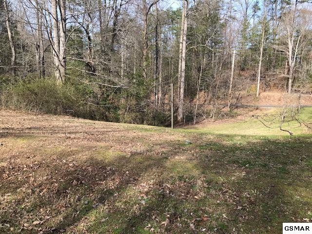 11 Reed Ridge Road Gatlinburg, TN 37738 - Photo 5 of 12