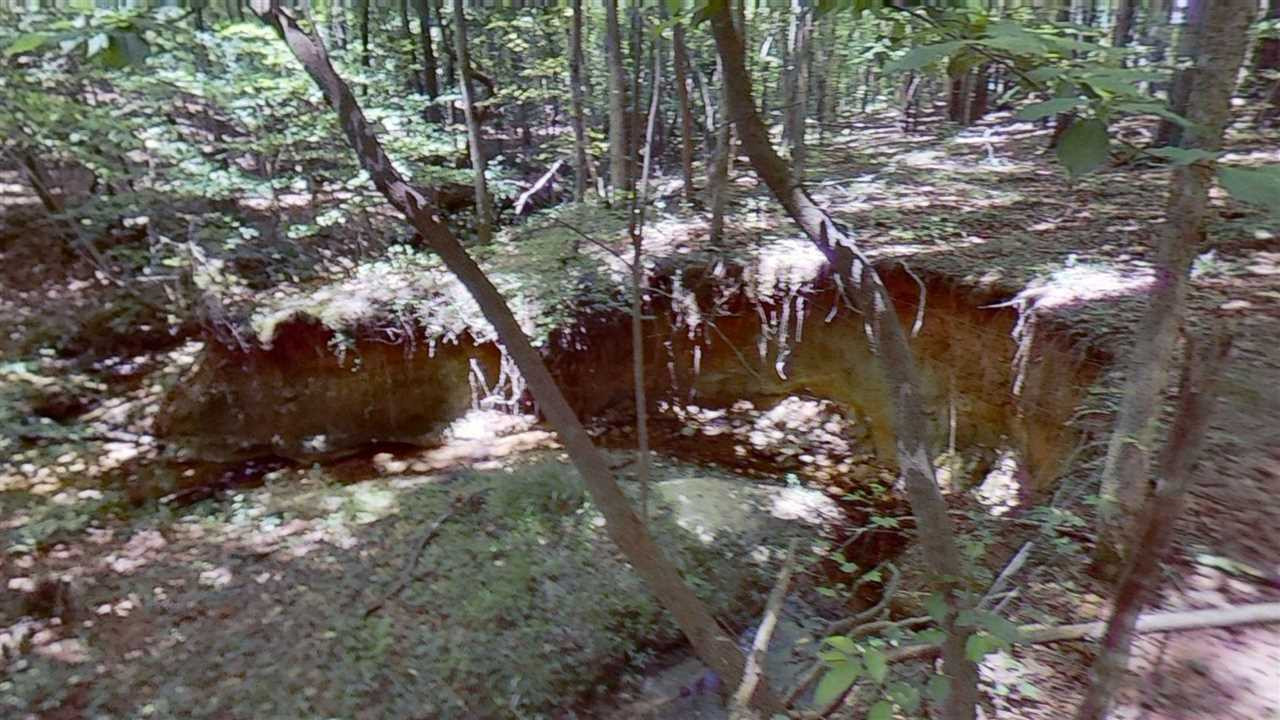 209 Bobbitt Road Clayton, NC 27520 - Photo 24 of 24 Photo 24