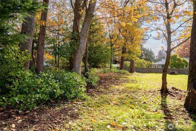 a view of a yard with trees