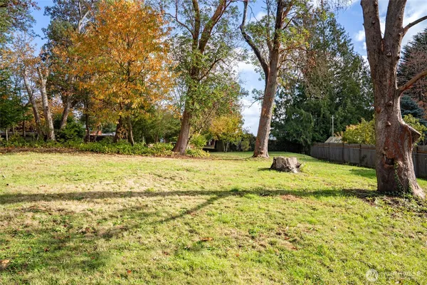 a view of a yard with an trees