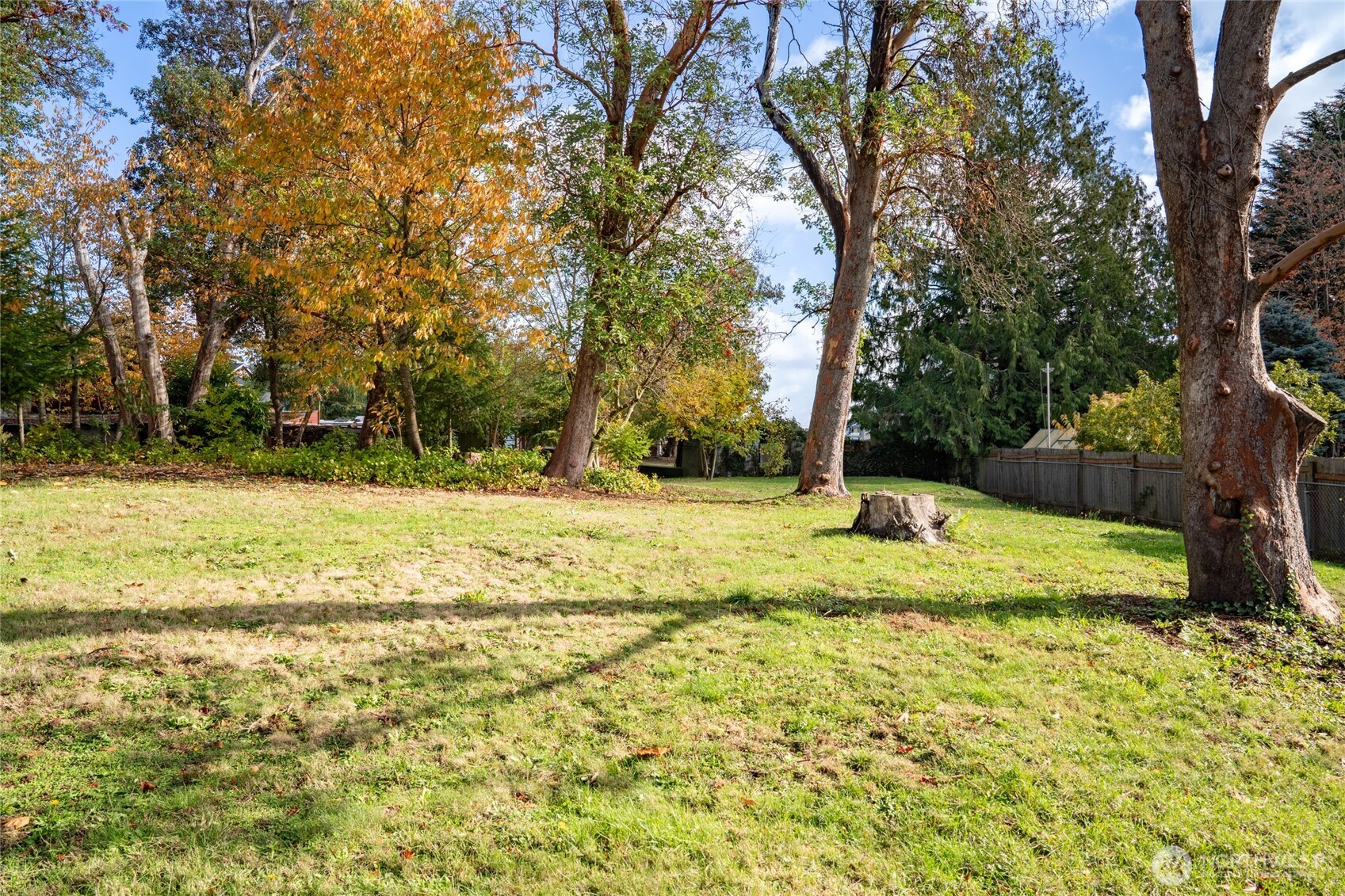 615 Southwest 124th Street Seattle, WA 98146 - Photo 9 of 24 a view of a yard with an trees