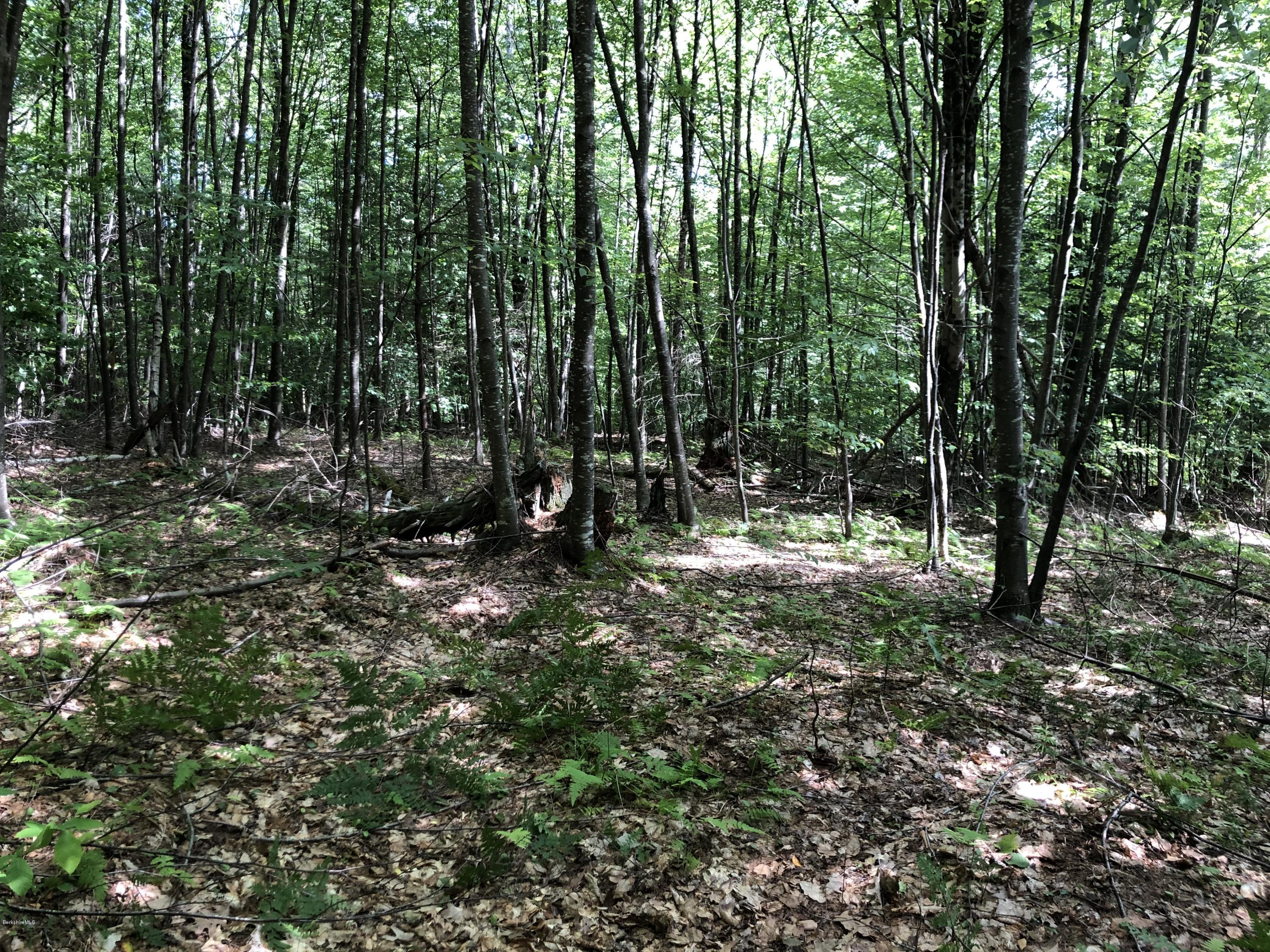 214 West Hawley Road Hawley, MA 01339 - Photo 1 of 5 58A50FF3-670F-4BC3-8EB0-A99E353F1F27