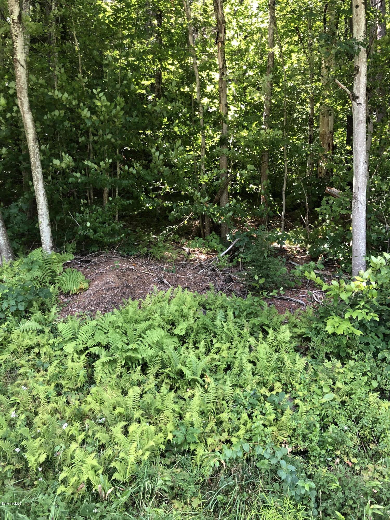 214 West Hawley Road Hawley, MA 01339 - Photo 2 of 5 8CA7B559-8535-464C-A8CA-31C75D6AB59A