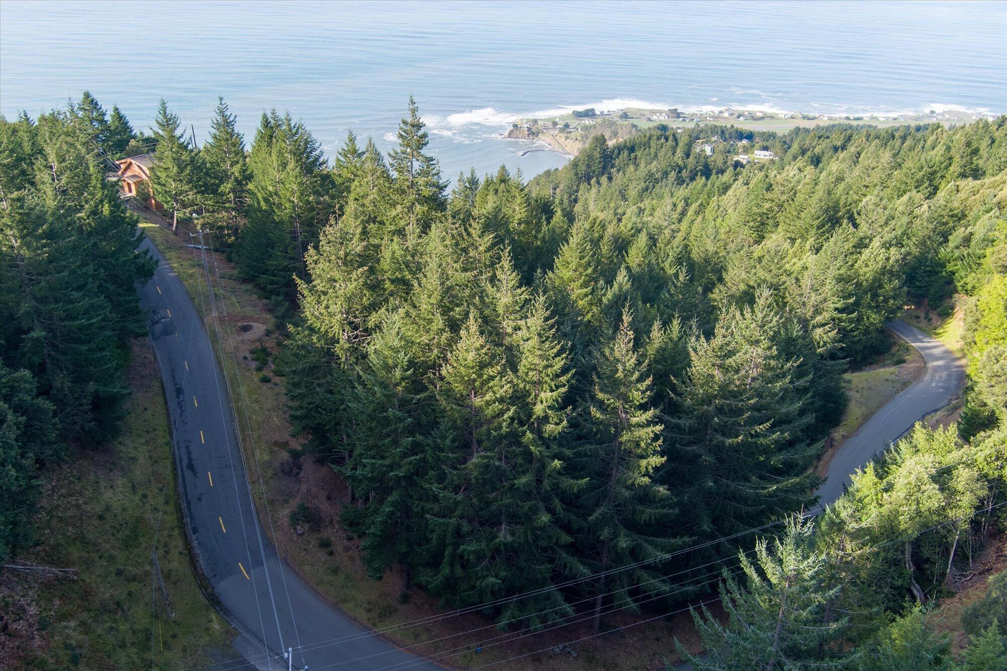 2215 Toth Road Shelter Cove, CA 95589 - Photo 4 of 14