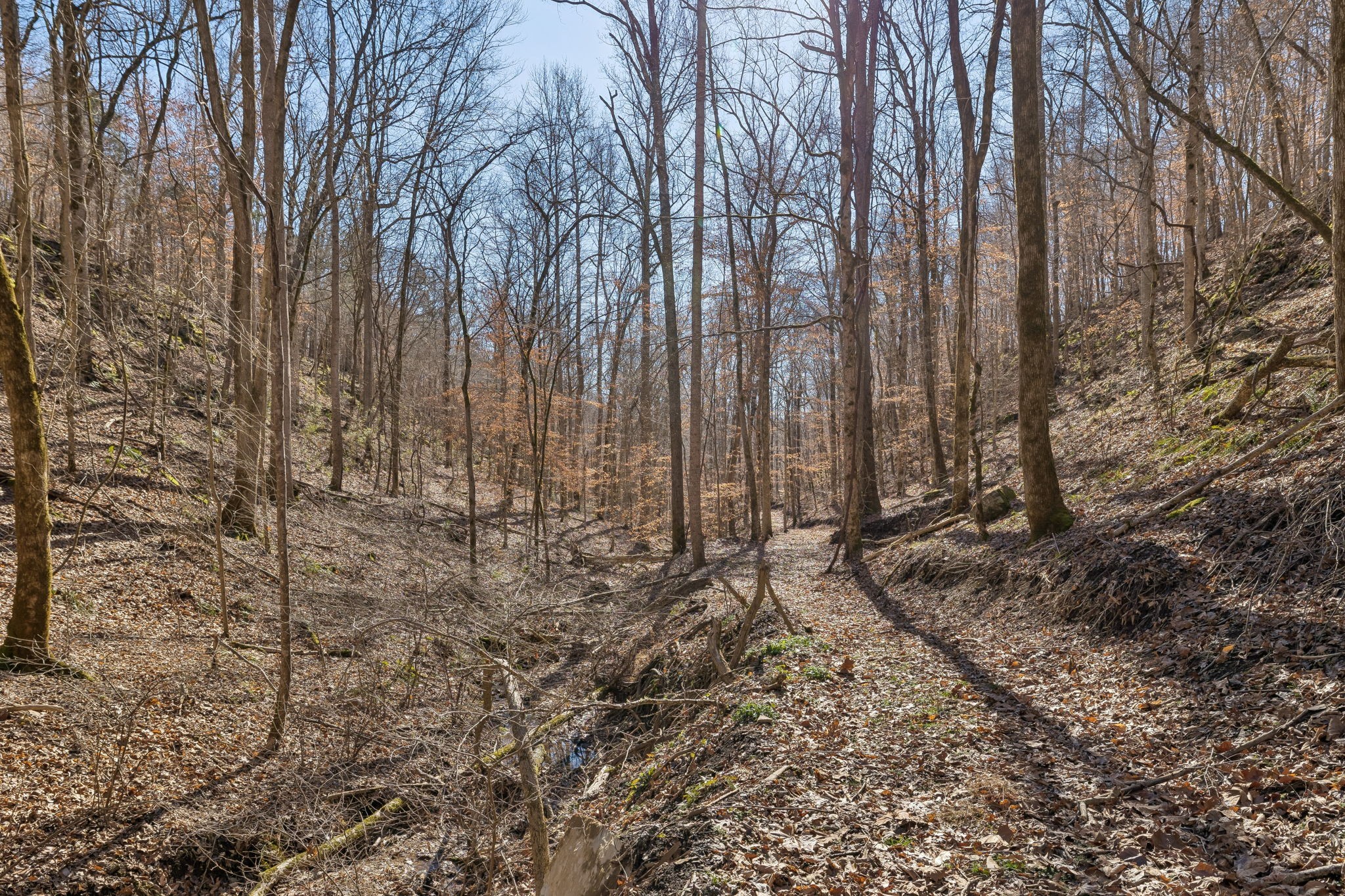0 Hurricane Creek Road Linden, TN 37096 - Photo 12 of 38 a view of a backyard of the house