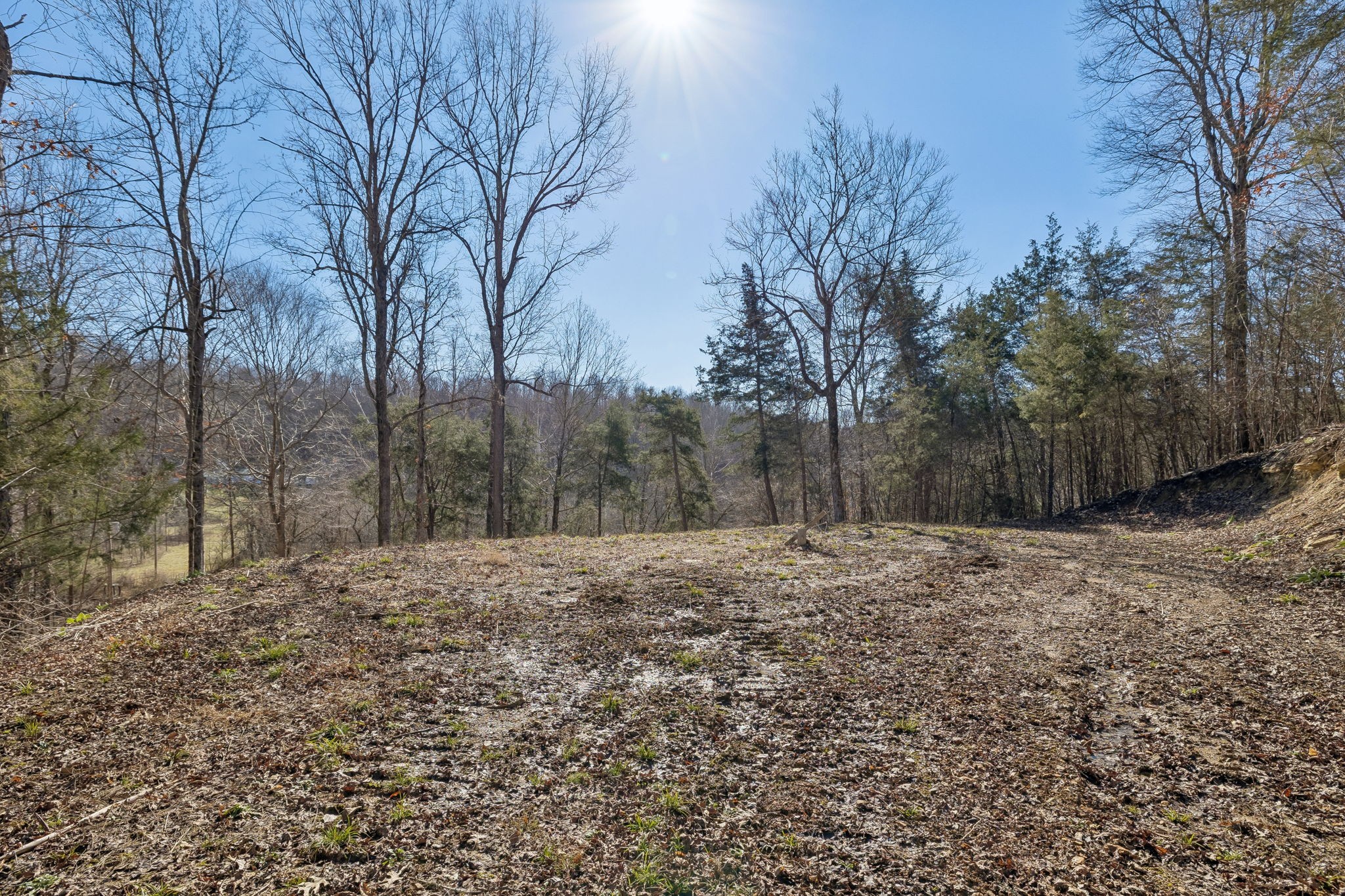 0 Hurricane Creek Road Linden, TN 37096 - Photo 13 of 38 a big yard with trees