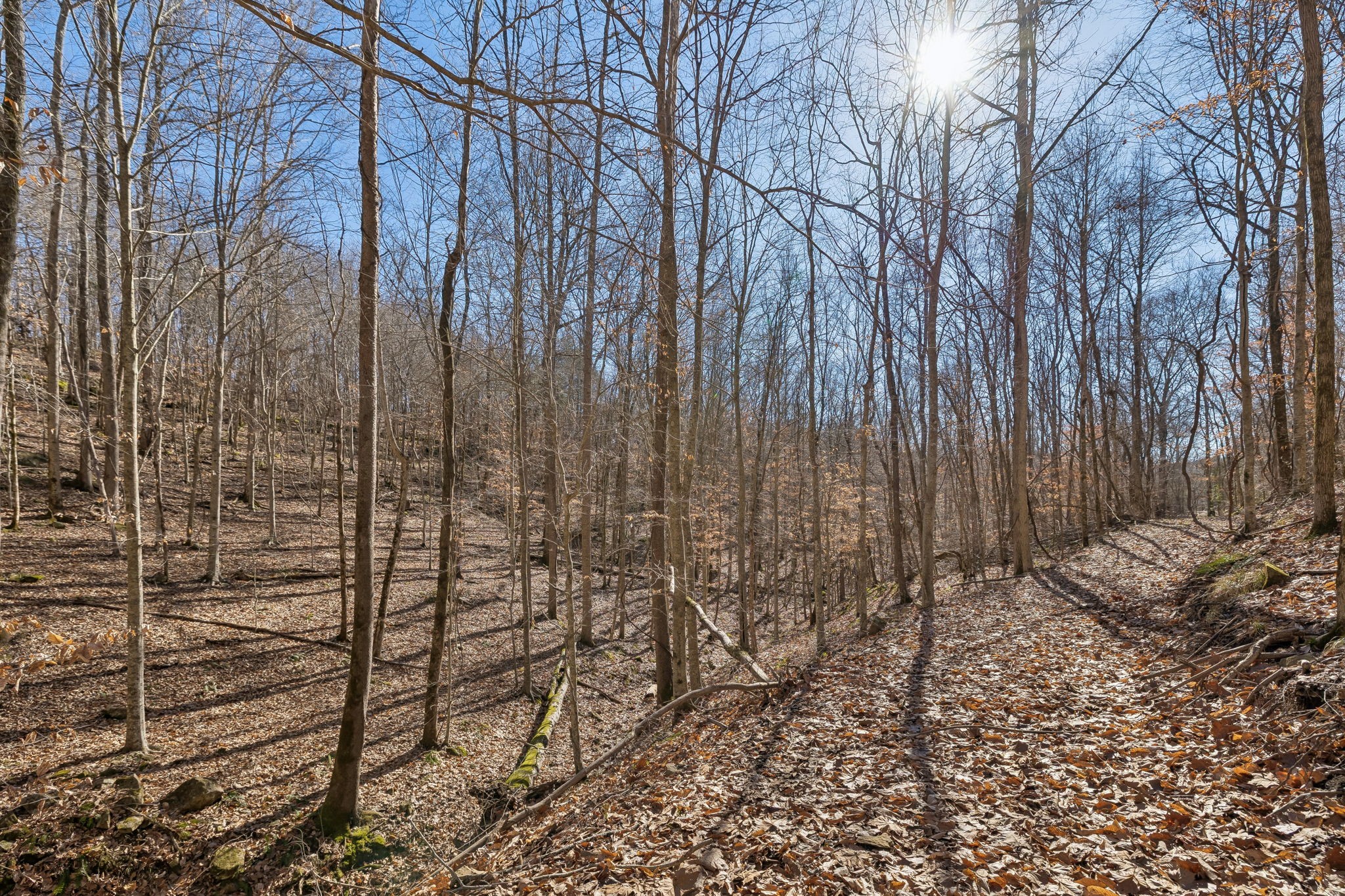 0 Hurricane Creek Road Linden, TN 37096 - Photo 15 of 38 a view of a backyard of the house