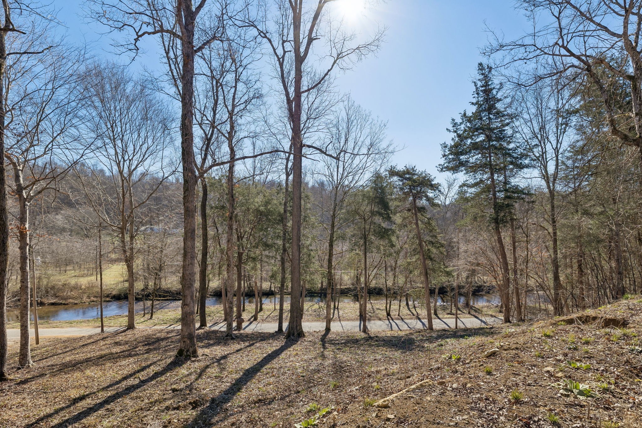 0 Hurricane Creek Road Linden, TN 37096 - Photo 16 of 38 a view of a forest filled with trees