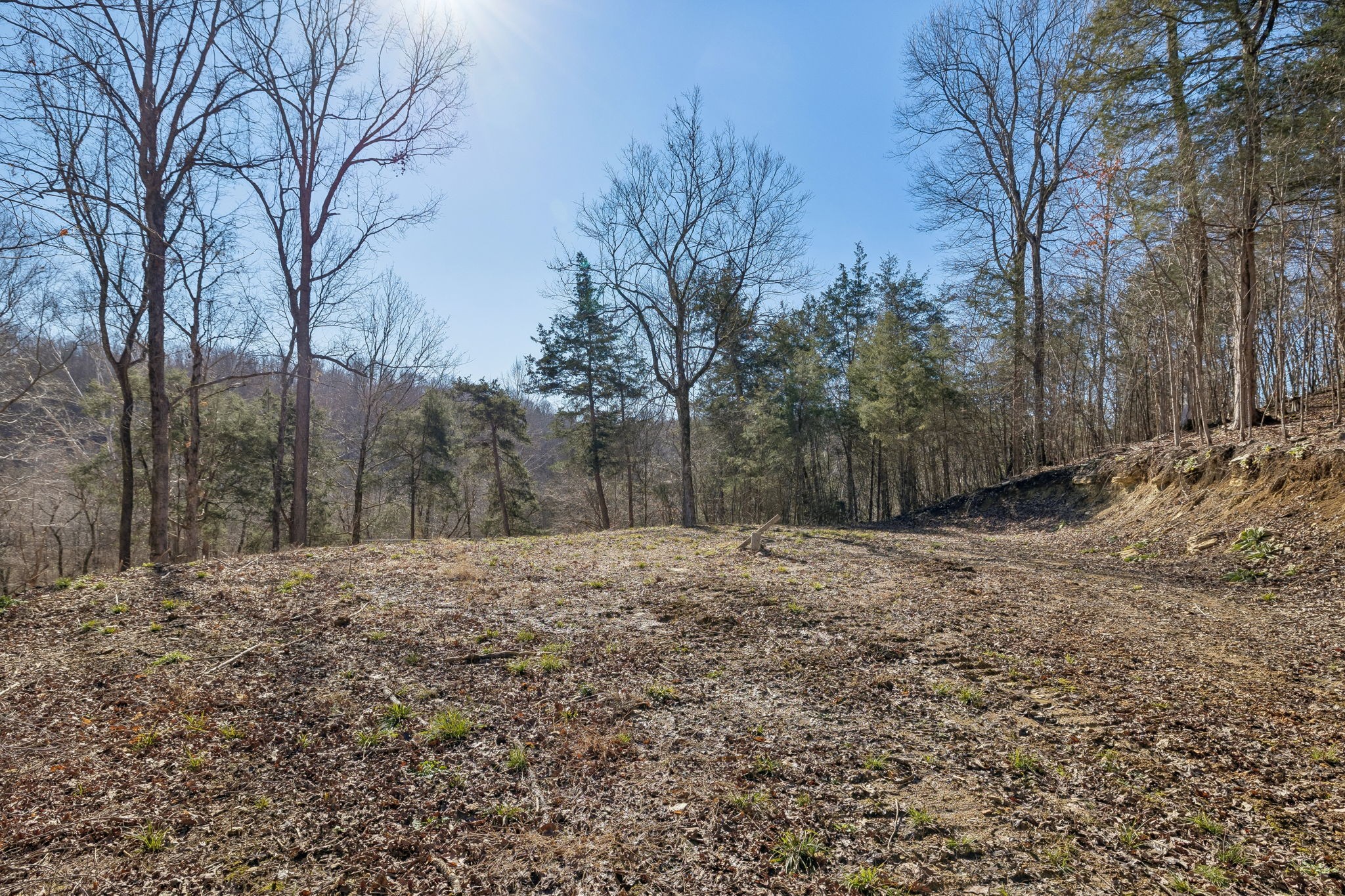 0 Hurricane Creek Road Linden, TN 37096 - Photo 17 of 38