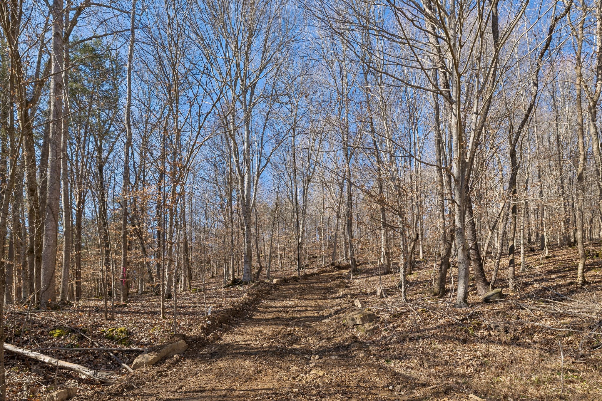0 Hurricane Creek Road Linden, TN 37096 - Photo 20 of 38 a view of a backyard of the house