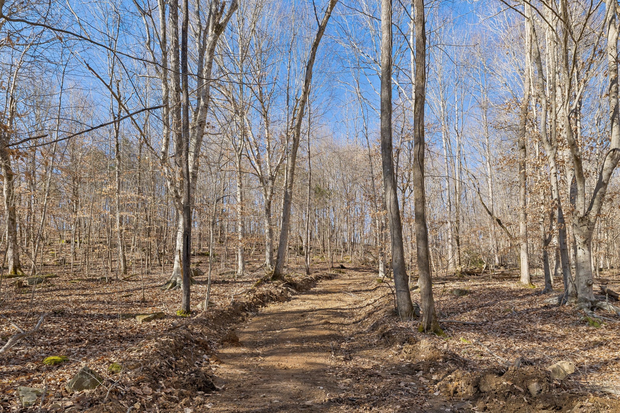 0 Hurricane Creek Road Linden, TN 37096 - Photo 22 of 38