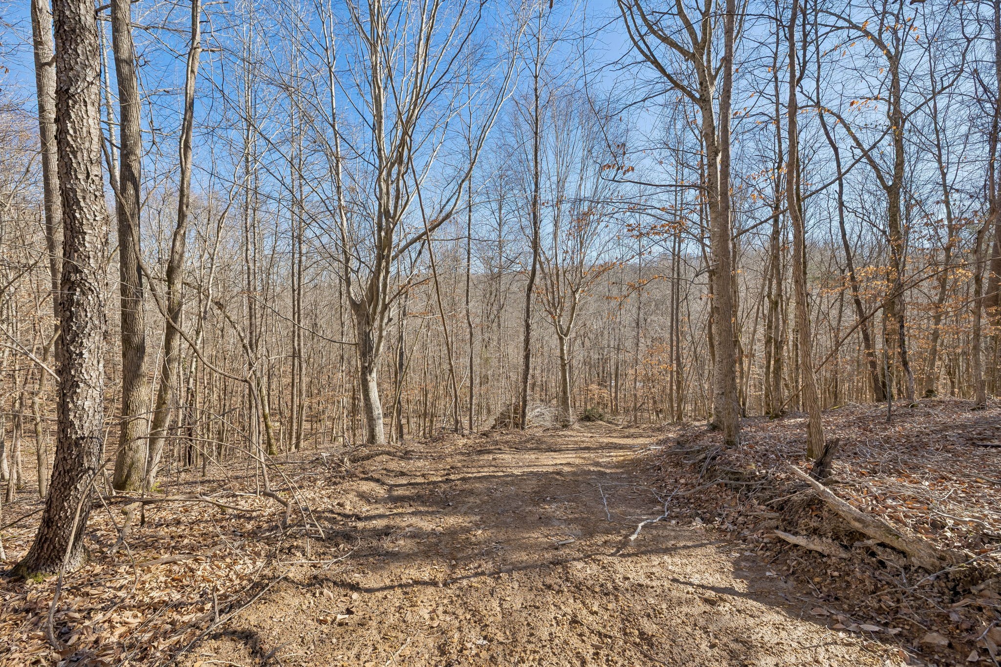 0 Hurricane Creek Road Linden, TN 37096 - Photo 24 of 38 a view of wooden fence