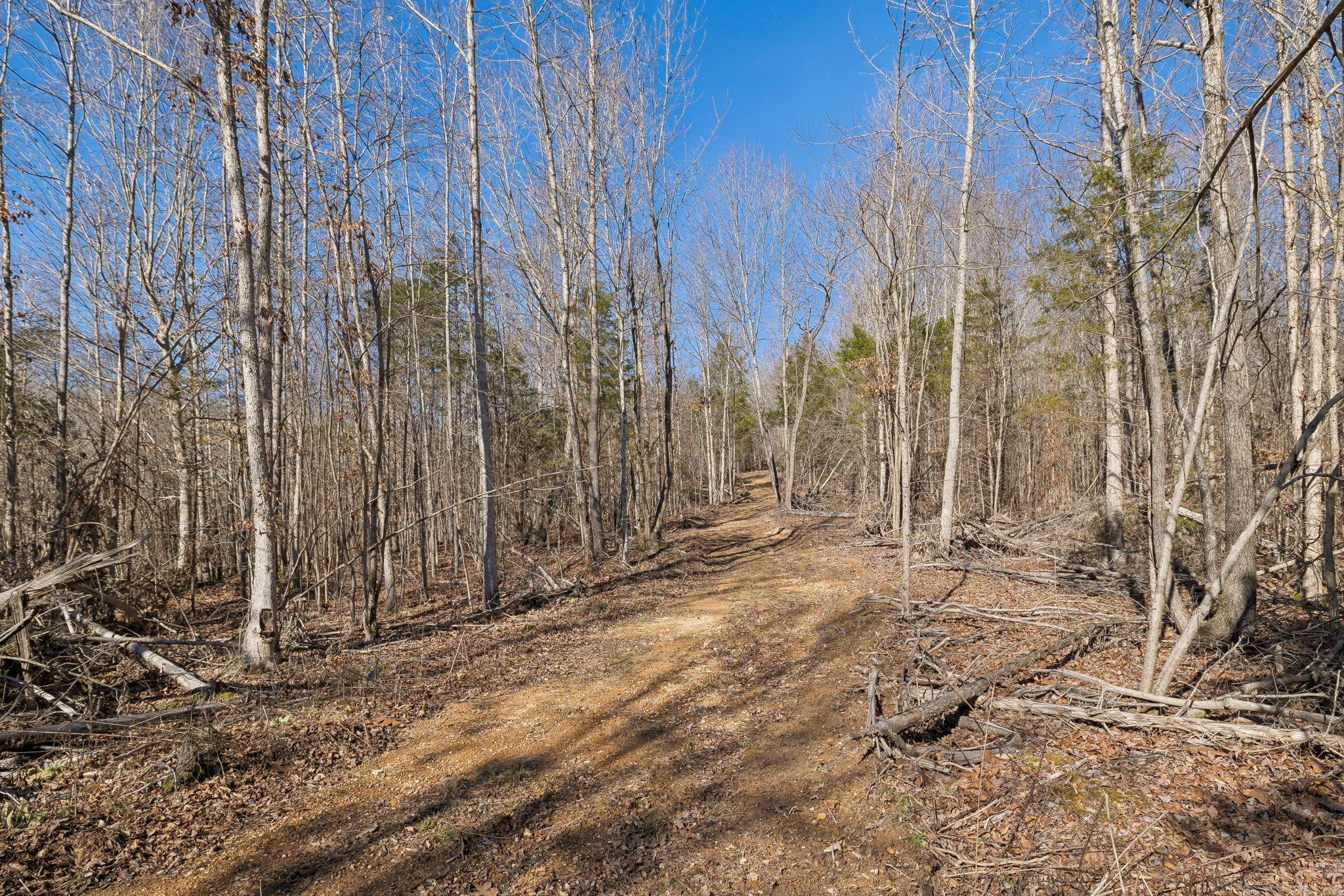 0 Hurricane Creek Road Linden, TN 37096 - Photo 25 of 38 a view of a backyard with pathway