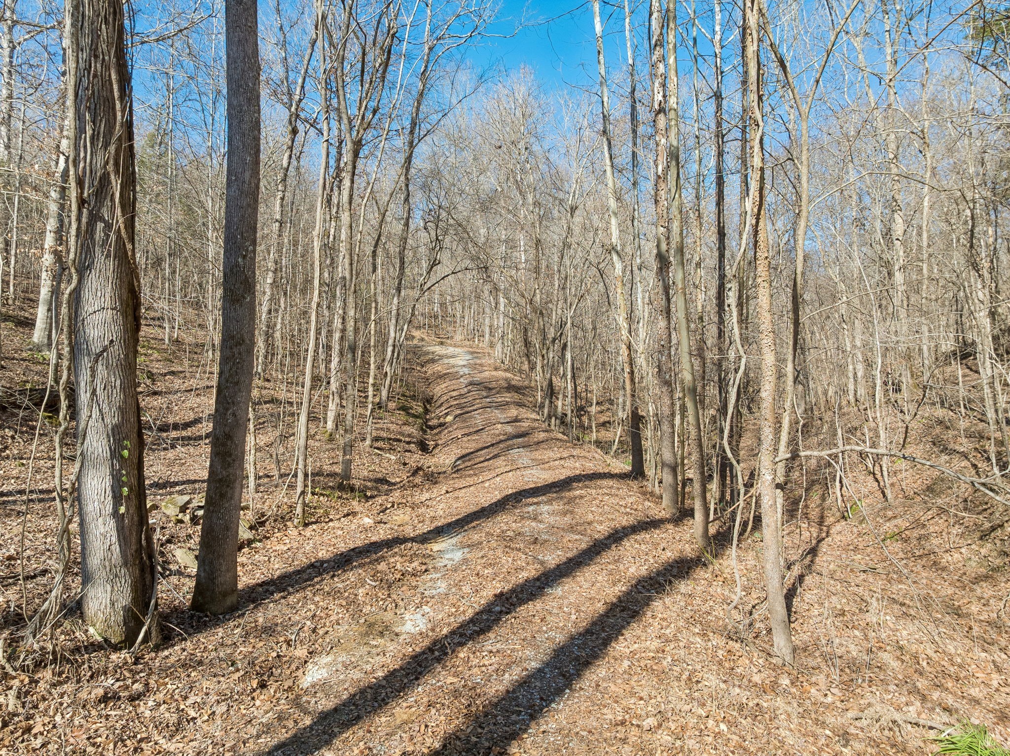 0 Hurricane Creek Road Linden, TN 37096 - Photo 29 of 38 a view of a pathway with a yard