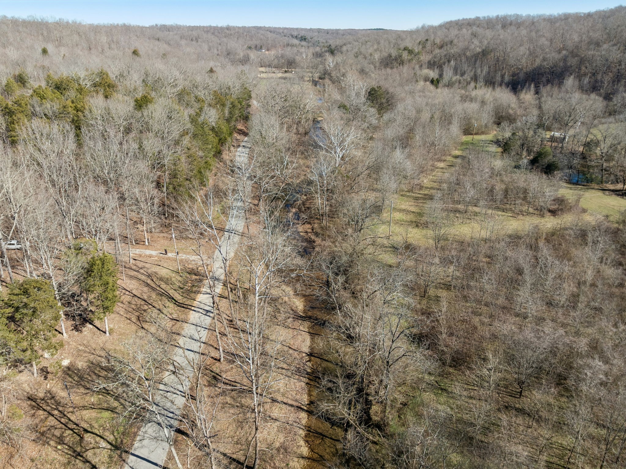 0 Hurricane Creek Road Linden, TN 37096 - Photo 32 of 38 a view of a dry yard