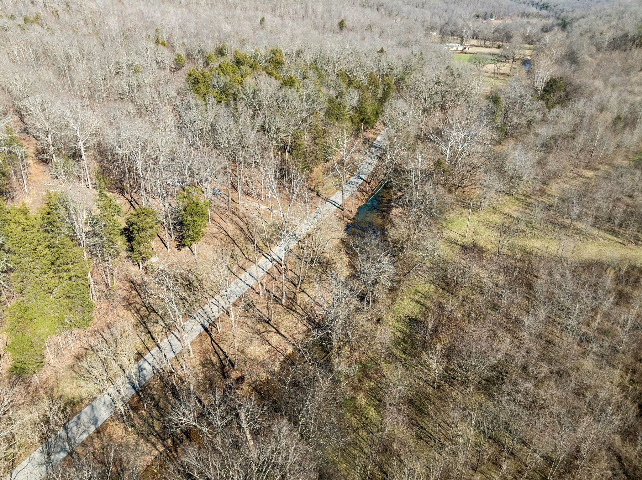 0 Hurricane Creek Road Linden, TN 37096 - Photo 33 of 38 a view of a field
